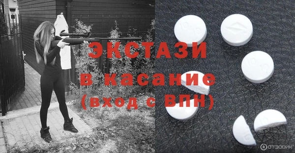 индика Бугульма