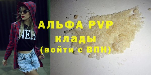 индика Бугульма