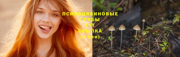 ешки Бородино