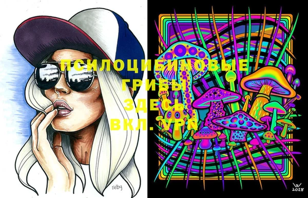 ешки Бородино