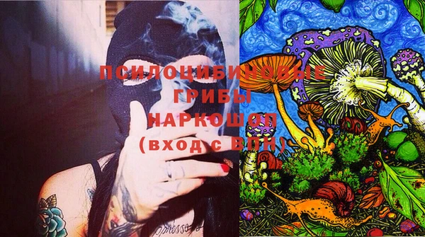 индика Бугульма