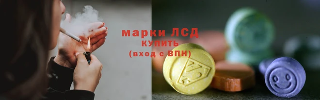 индика Бугульма