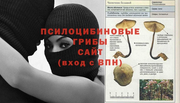 ешки Бородино