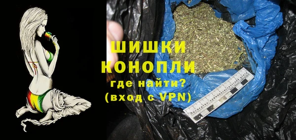 ешки Бородино