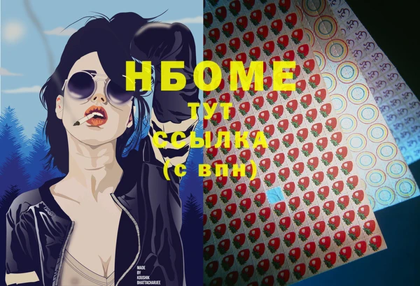 индика Бугульма