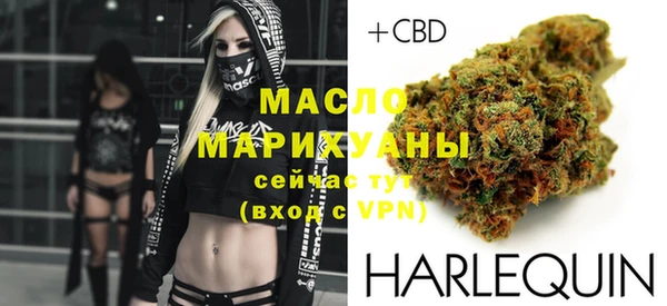 индика Бугульма